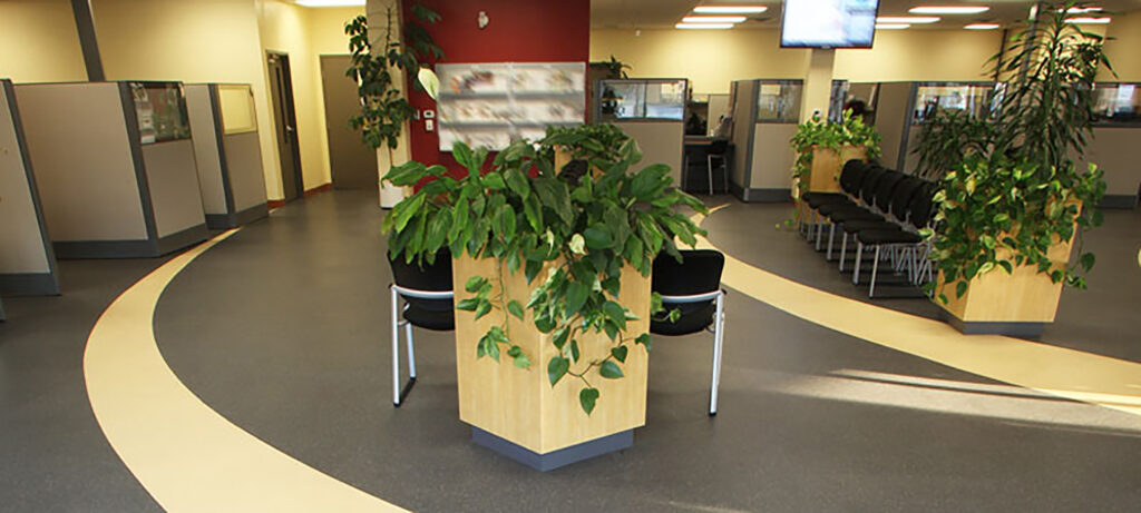 Chairs in Waiting Area of Government Office in Canada.