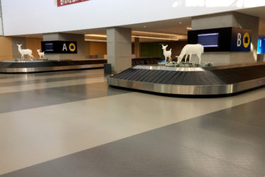 Quebec Airport baggage claim1 ZEUS